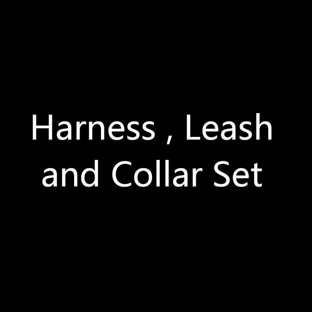 Dog Harness and Leash