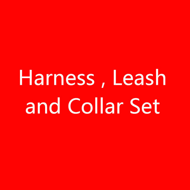 Dog Harness and Leash