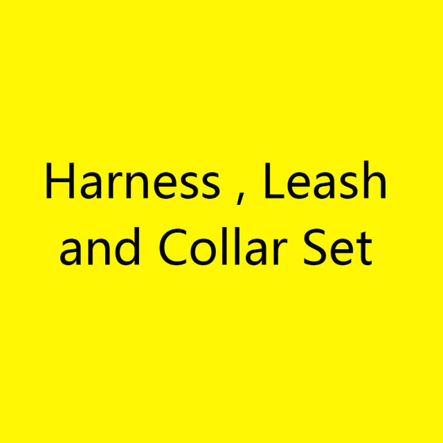 Dog Harness and Leash