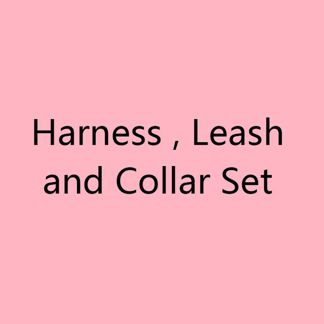 Dog Harness and Leash