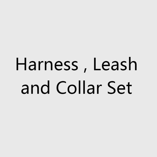 Dog Harness and Leash