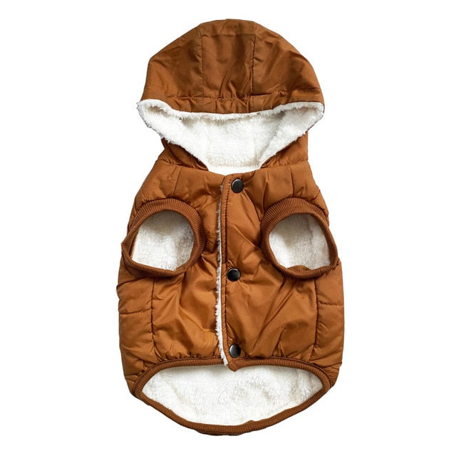 Winter Jacket For Dog