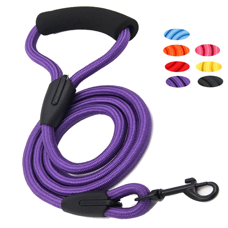 Walking Dog Leash