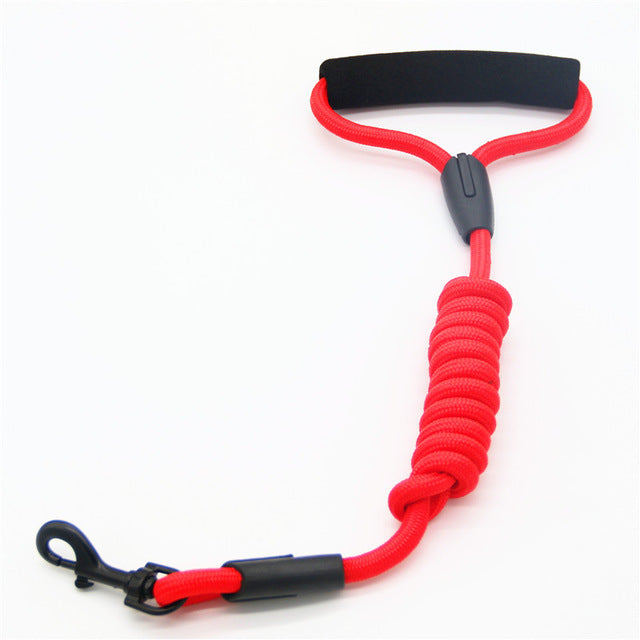 Walking Dog Leash