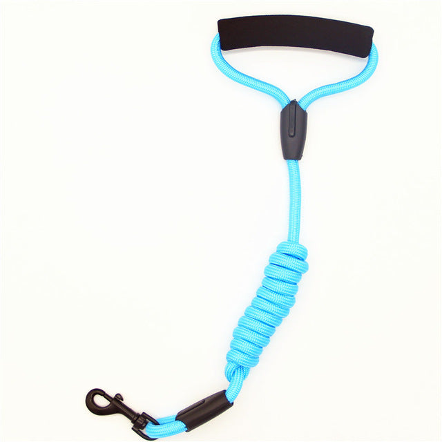 Walking Dog Leash