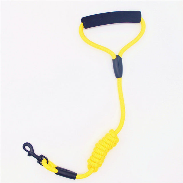 Walking Dog Leash