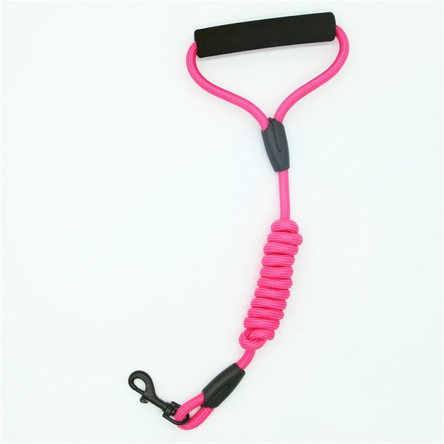 Walking Dog Leash