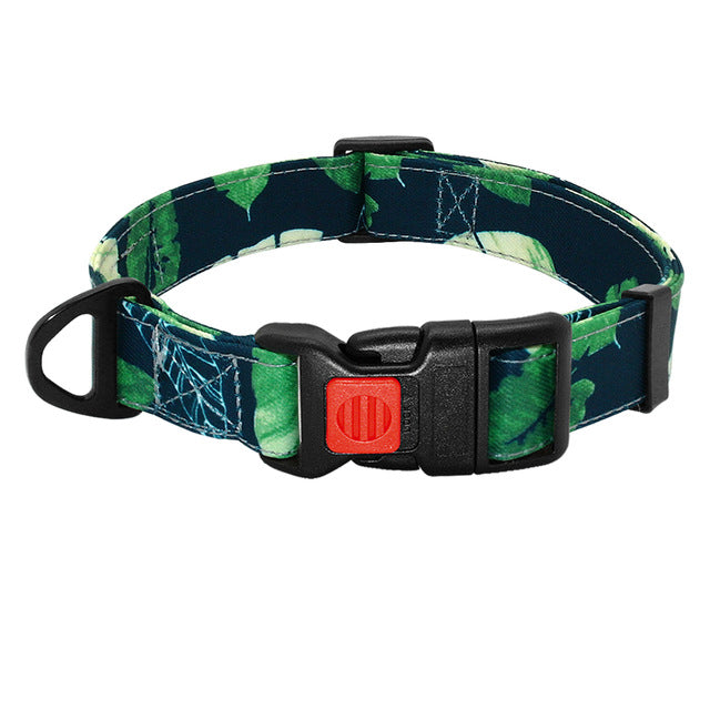 Printed Dog Collar  Walking Leash