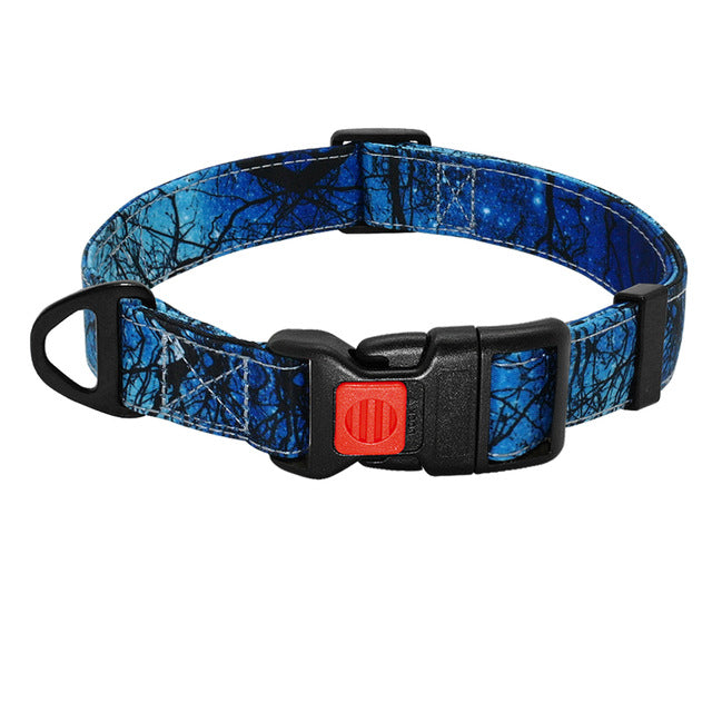 Printed Dog Collar  Walking Leash