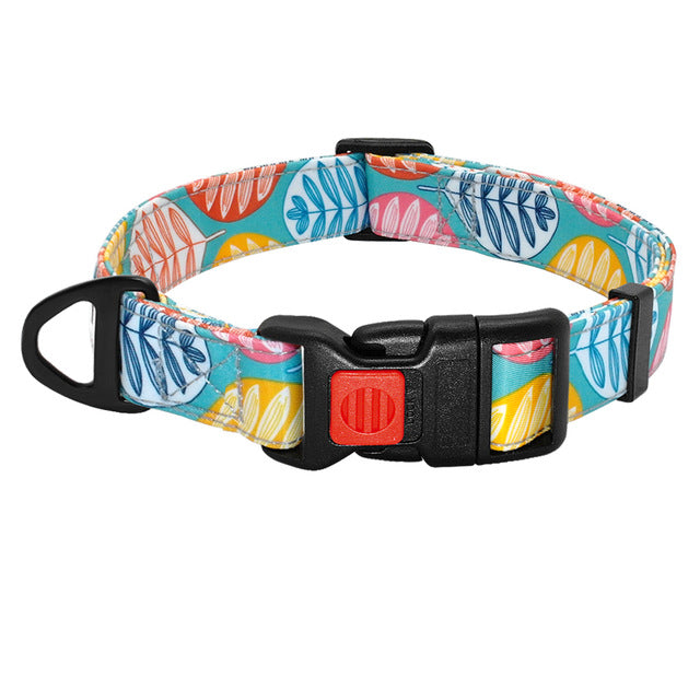 Printed Dog Collar  Walking Leash