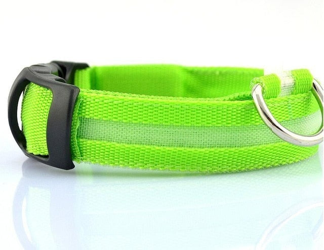 LED Pet Nylon Dog Collar