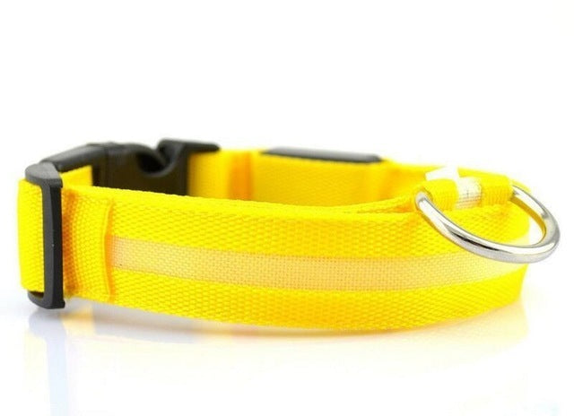 LED Pet Nylon Dog Collar